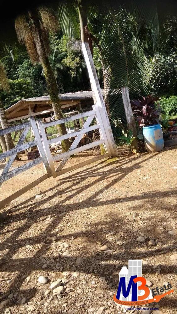 Sítio à venda com 3 quartos, 12m² - Foto 9
