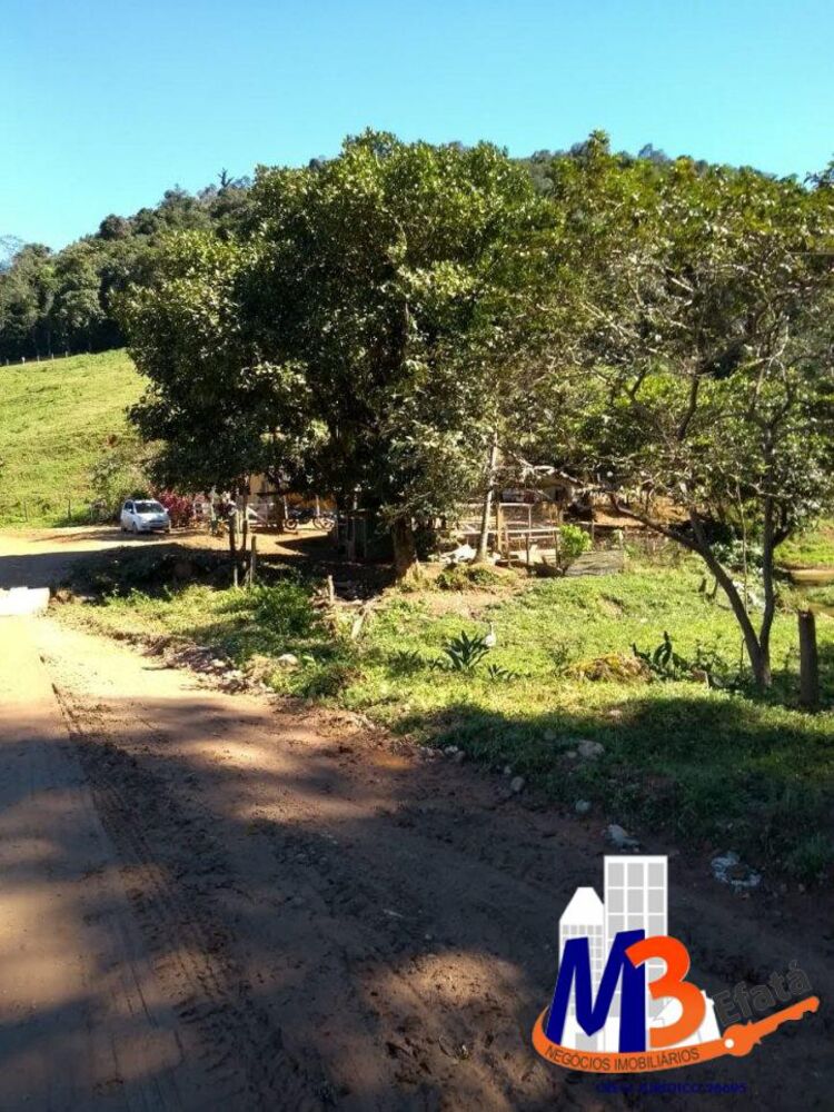 Sítio à venda com 3 quartos, 12m² - Foto 6