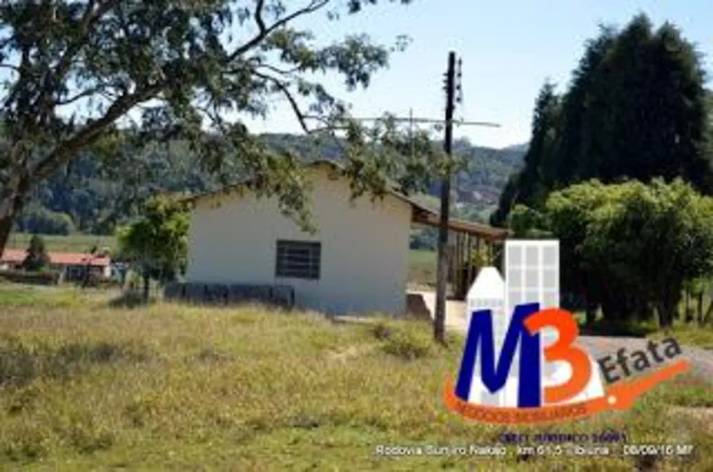 Sítio, 4 quartos, 13 hectares - Foto 6