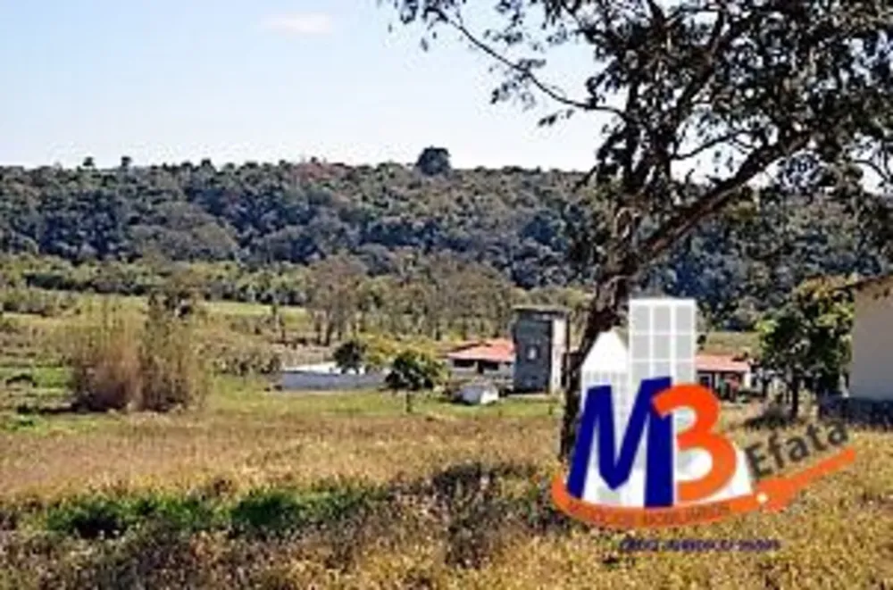 Sítio, 4 quartos, 13 hectares - Foto 4