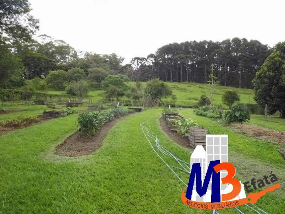 Sítio, 7 quartos, 5 hectares - Foto 18