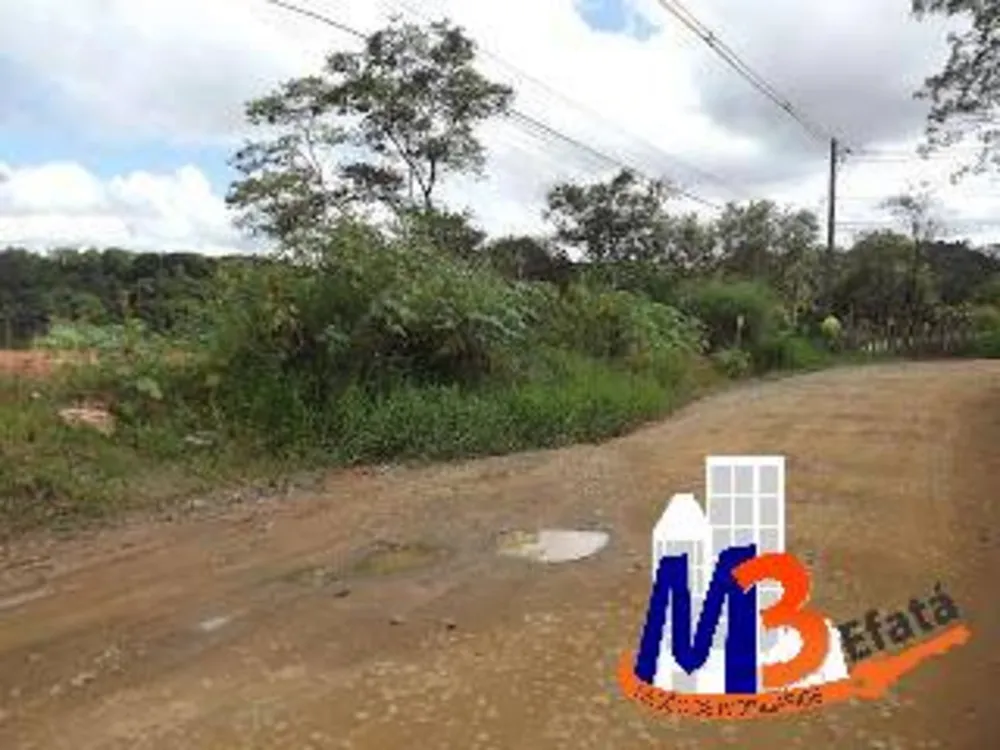 Terreno, 1 hectares - Foto 3