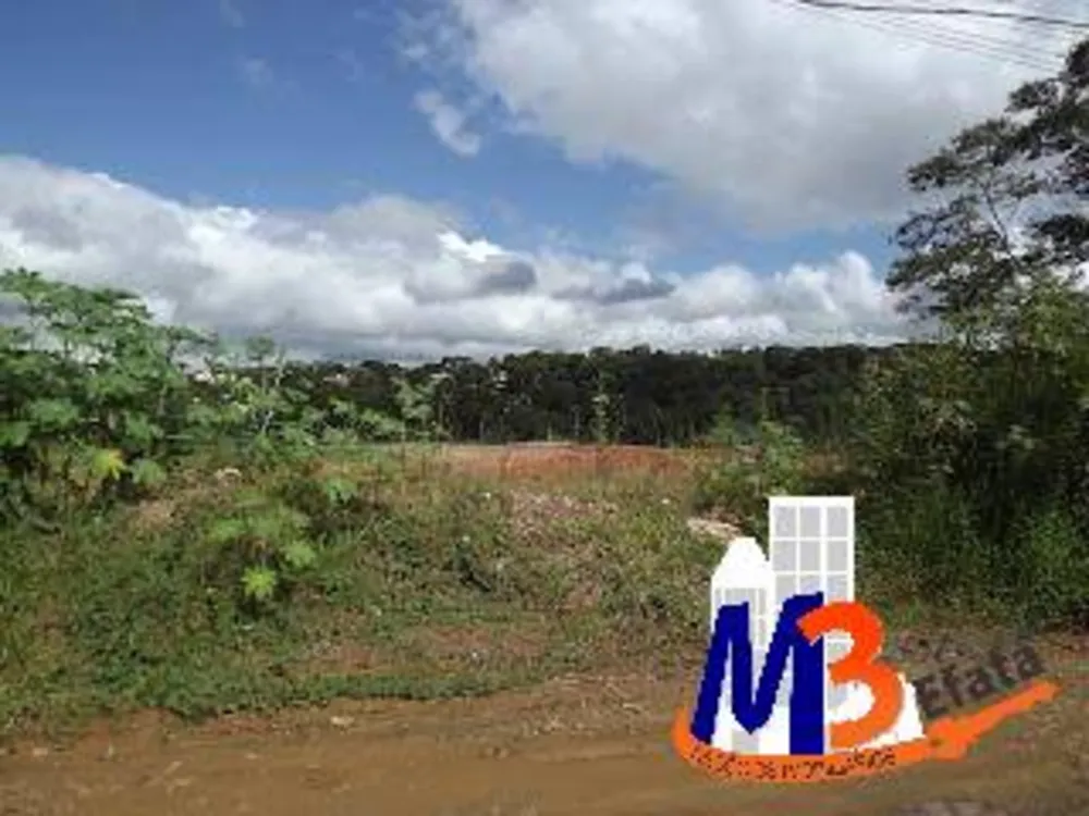 Terreno, 1 hectares - Foto 2