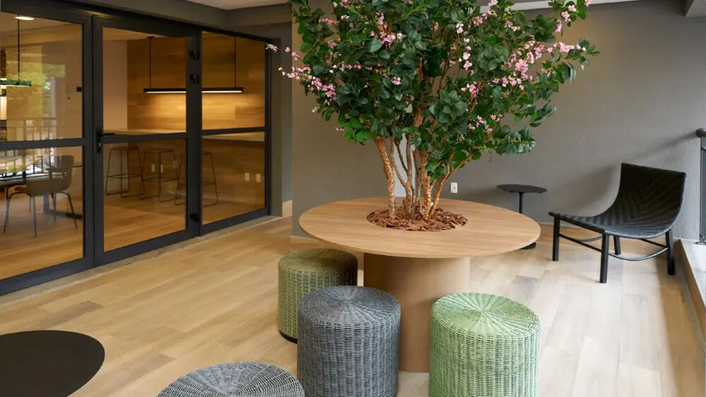 Apartamento, 3 quartos, 86 m² - Foto 6