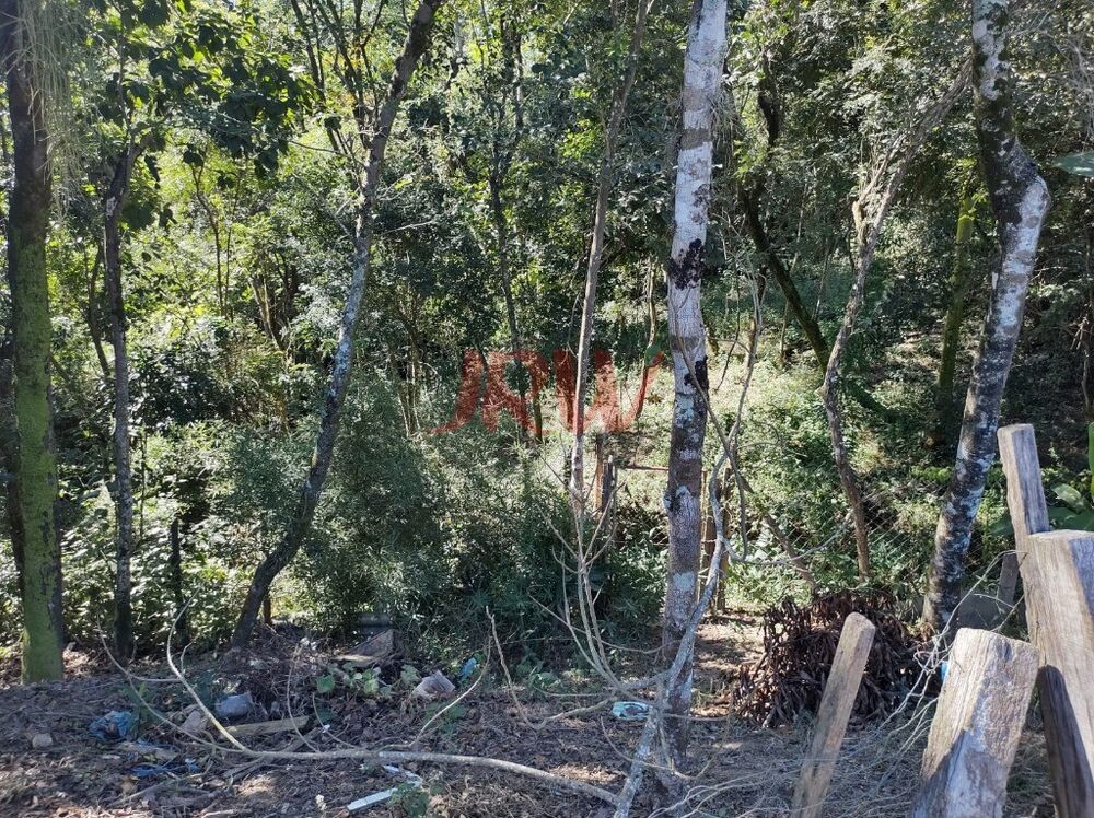 Chácara à venda com 2 quartos, 2500m² - Foto 3