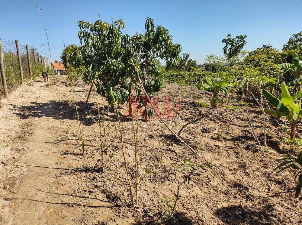 Chácara à venda com 2 quartos, 2500m² - Foto 12
