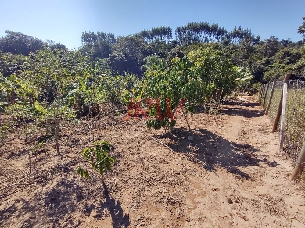 Chácara à venda com 2 quartos, 2500m² - Foto 7