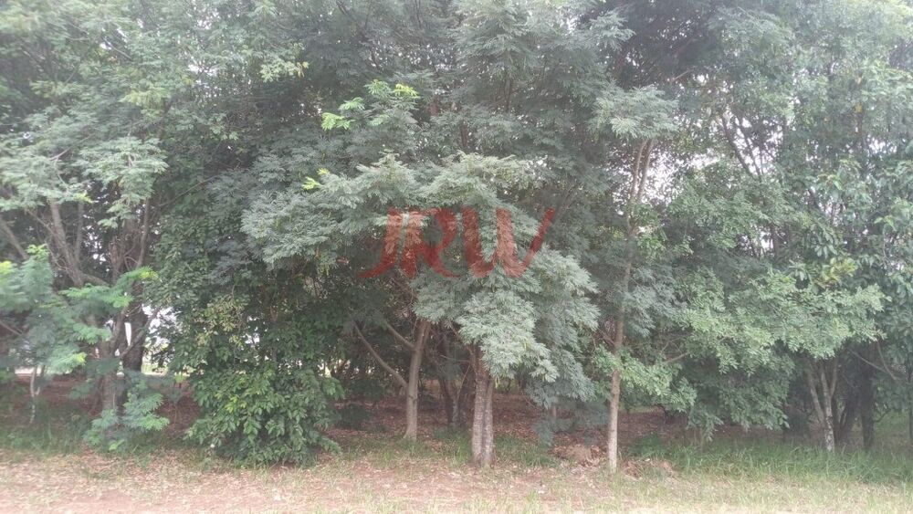 Terreno, 1275 m² - Foto 6