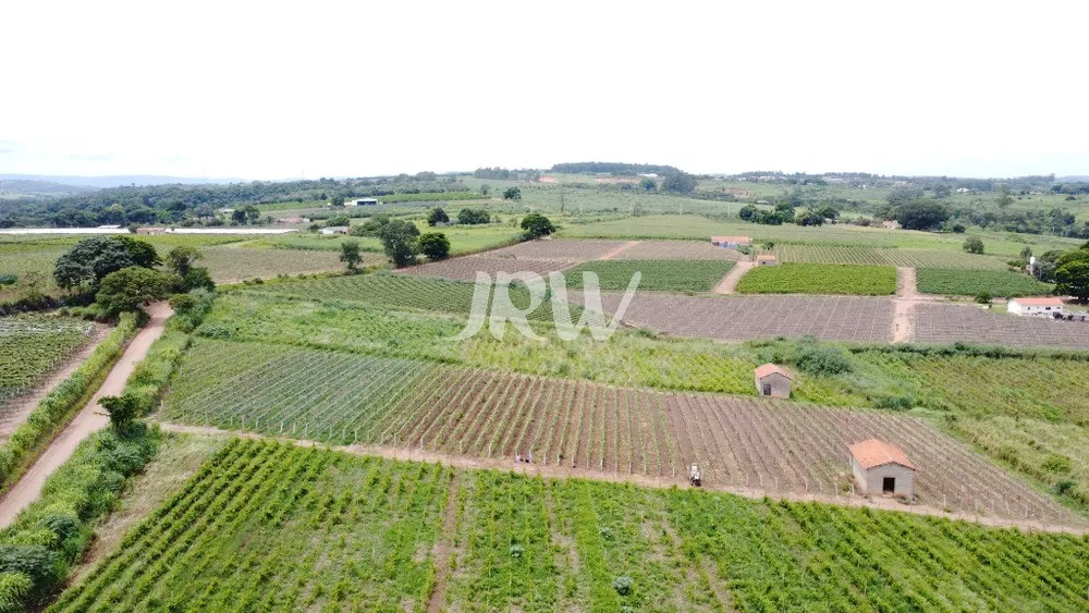 Haras e Área Rural Padrão à venda, 642000m² - Foto 8