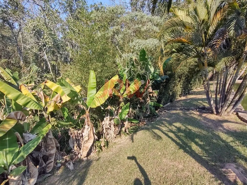 Sítio, 3 quartos, 4 hectares - Foto 12