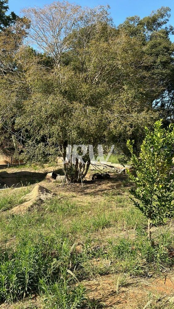 Terreno, 1000 m² - Foto 6