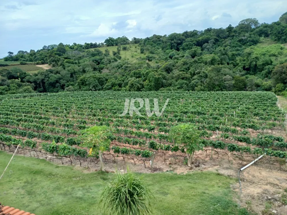 Chácara, 3 quartos, 2 hectares - Foto 10
