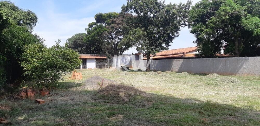 Chácara, 1 quarto, 1000 m² - Foto 5