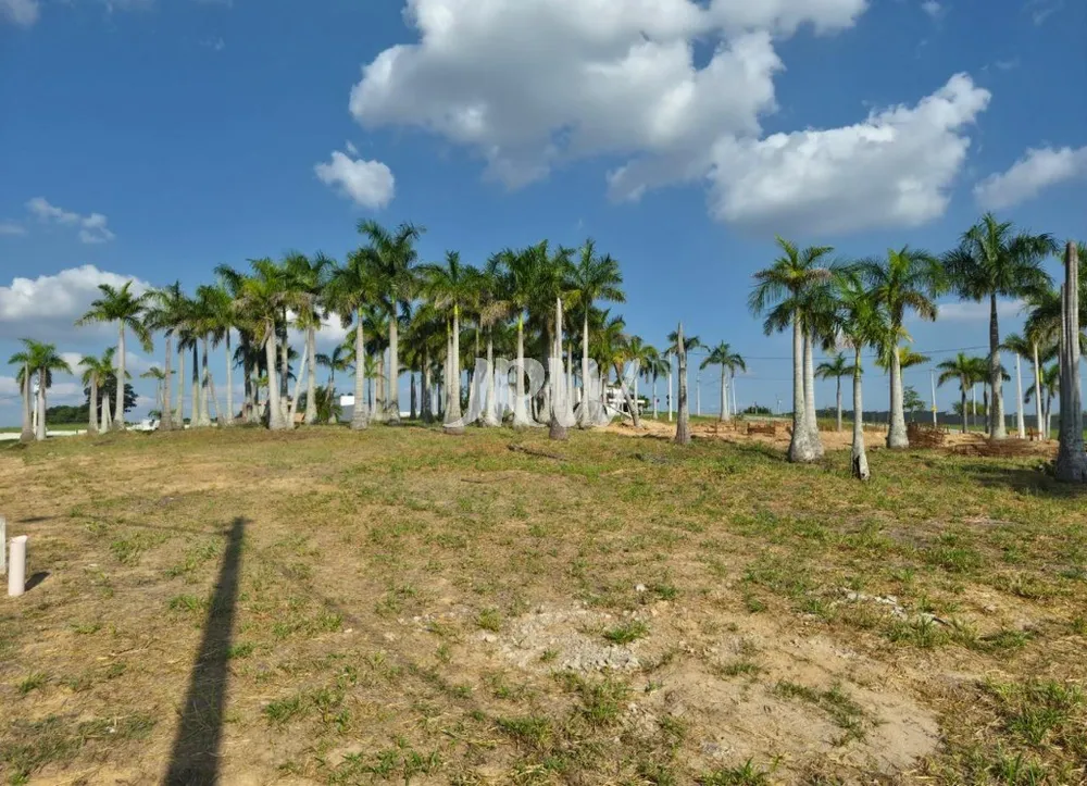 Terreno, 250 m² - Foto 4