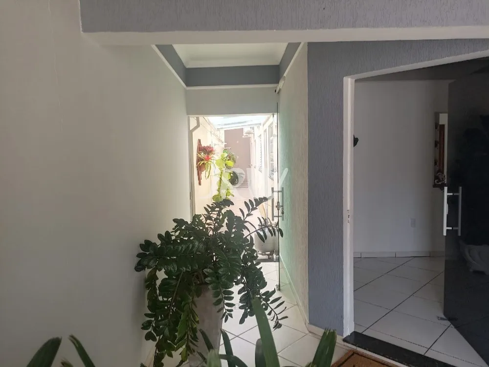 Casa, 2 quartos, 228 m² - Foto 3
