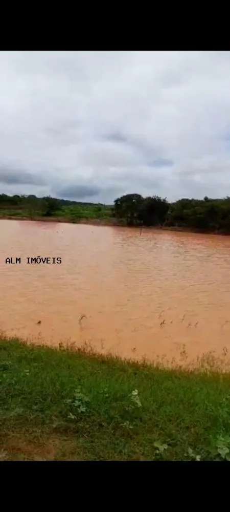 Chácara, 100 hectares - Foto 6