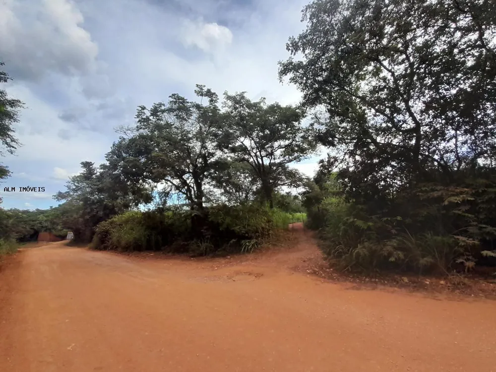 Terreno, 13 hectares - Foto 12