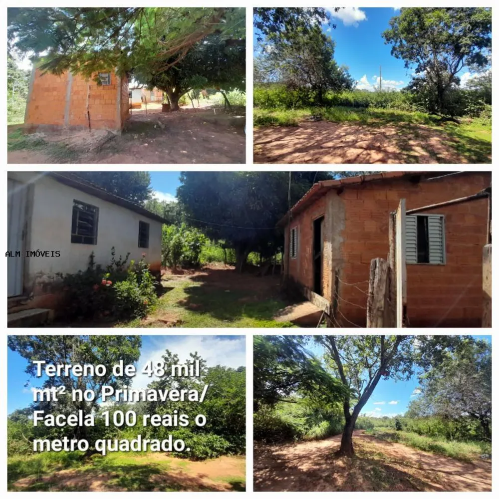 Terreno, 13 hectares - Foto 1