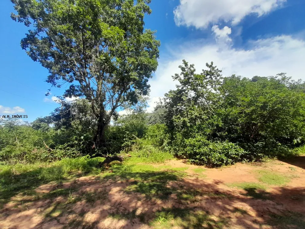 Terreno, 13 hectares - Foto 10