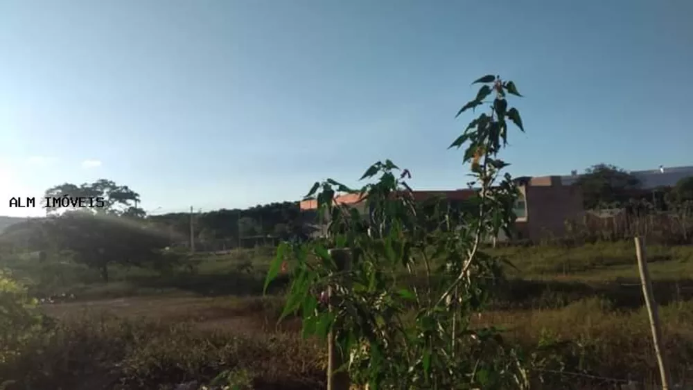 Terreno, 2544 m² - Foto 2