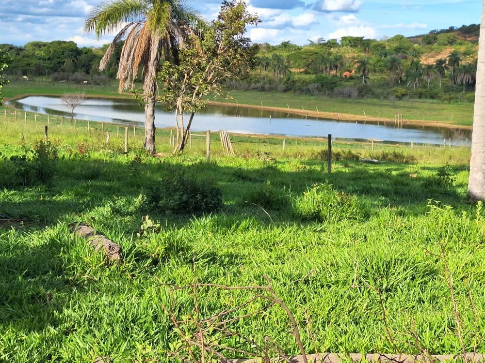 Chácara, 3 hectares - Foto 3