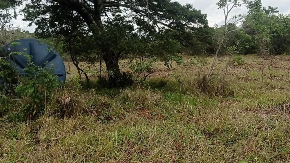 Chácara, 3 hectares - Foto 3