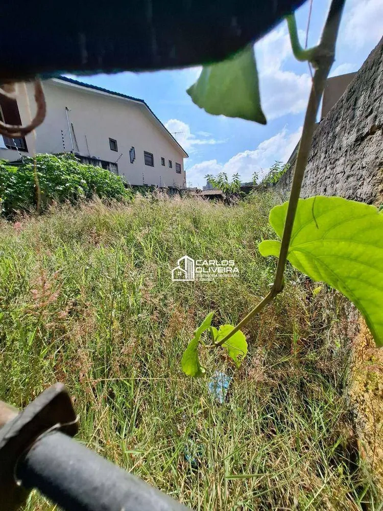 Terreno, 250 m² - Foto 2