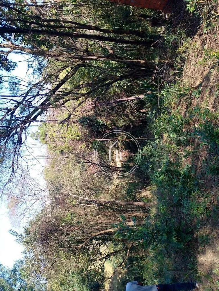 Terreno, 8032 m² - Foto 3