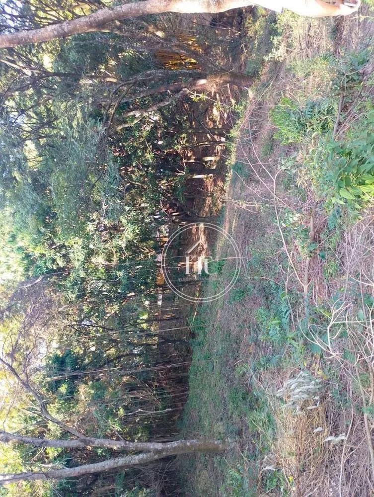 Terreno, 8032 m² - Foto 11