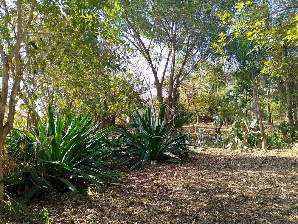 Terreno, 8032 m² - Foto 7