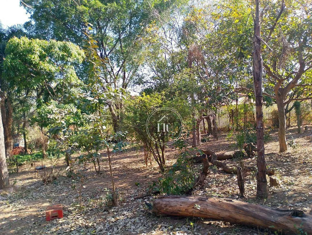 Terreno, 8032 m² - Foto 5