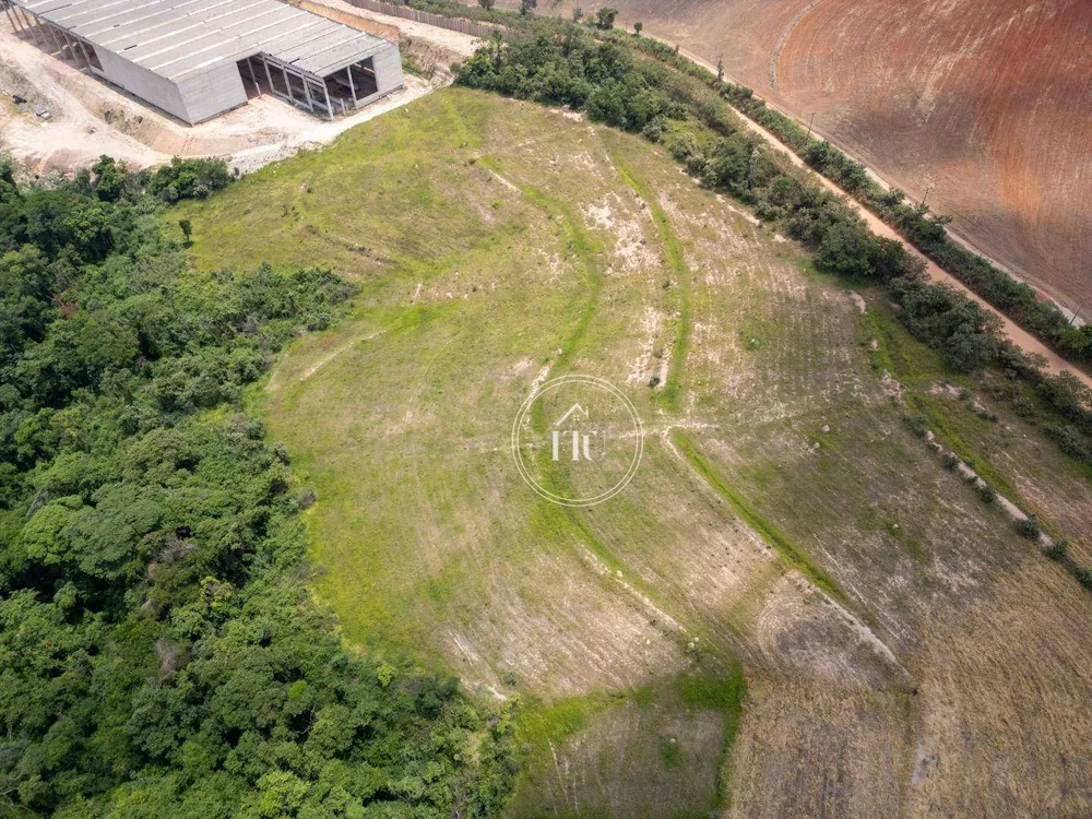 Terreno, 3 hectares - Foto 4