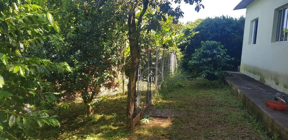 Chácara, 2 quartos, 1032 m² - Foto 5