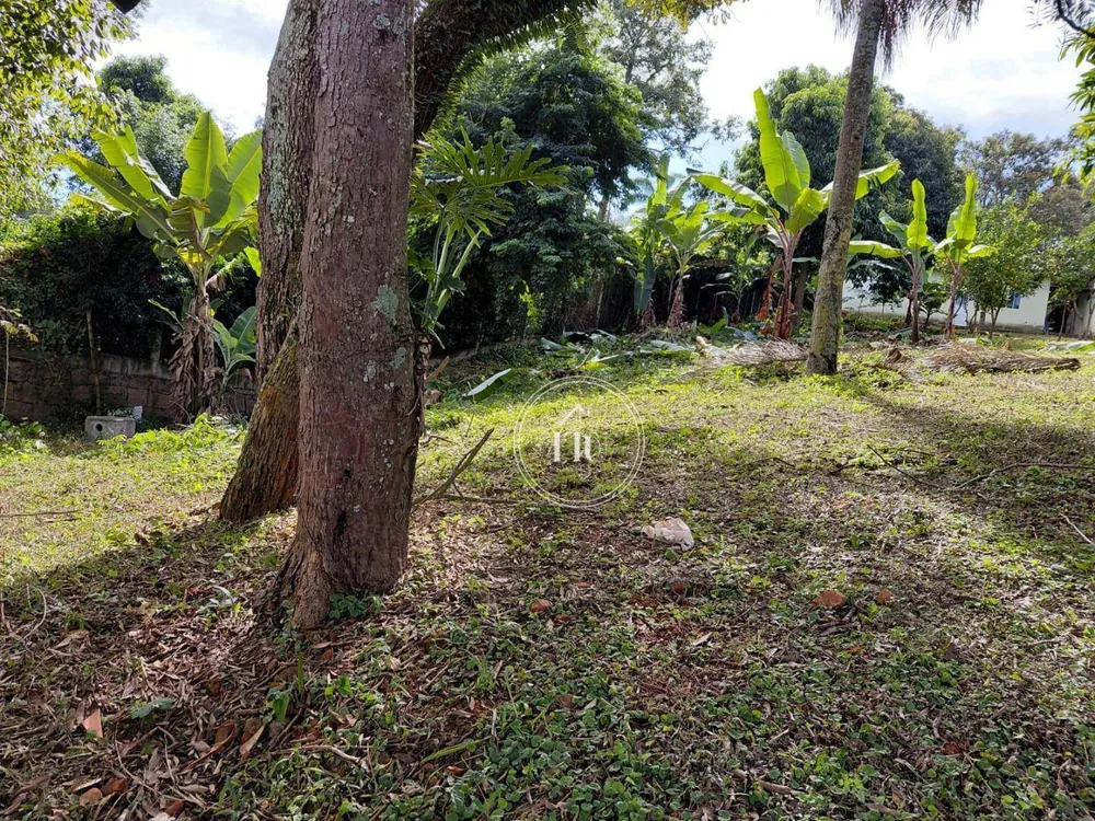 Chácara, 2 quartos, 1032 m² - Foto 5