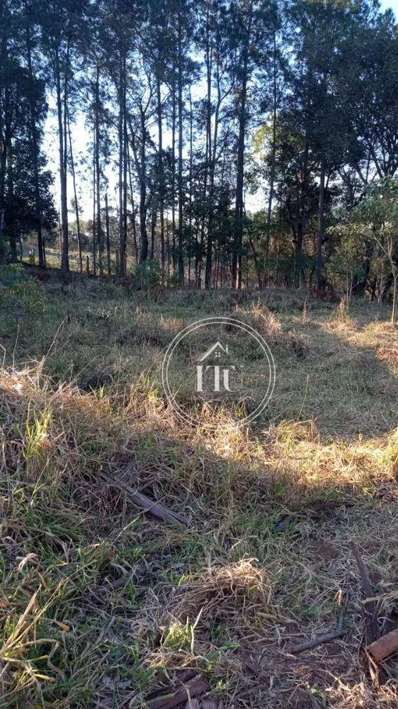 Chácara, 2 quartos, 3000 m² - Foto 8