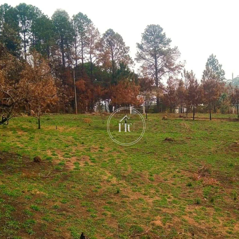 Chácara, 3 quartos, 5 hectares - Foto 3