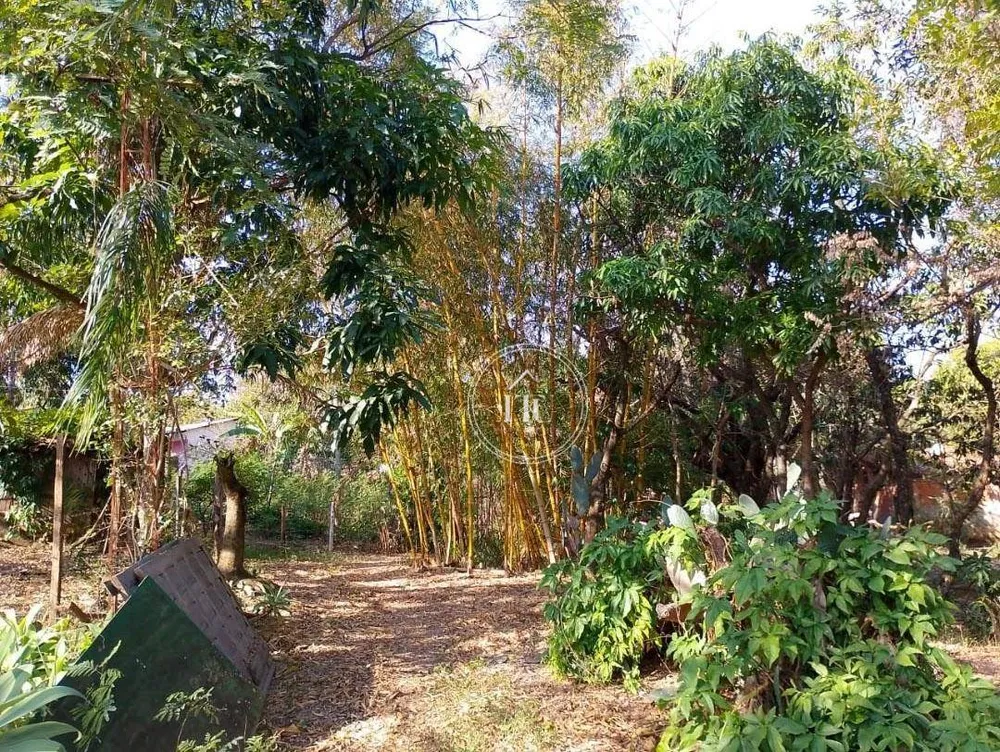Terreno, 3000 m² - Foto 12