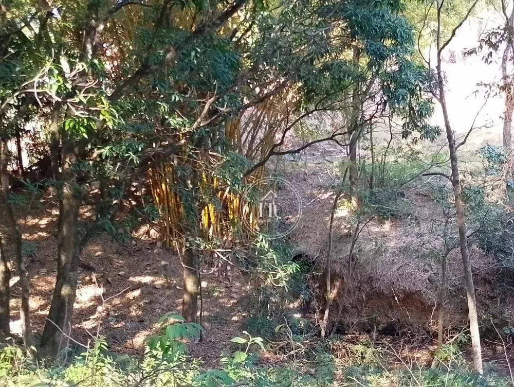 Terreno, 3000 m² - Foto 3
