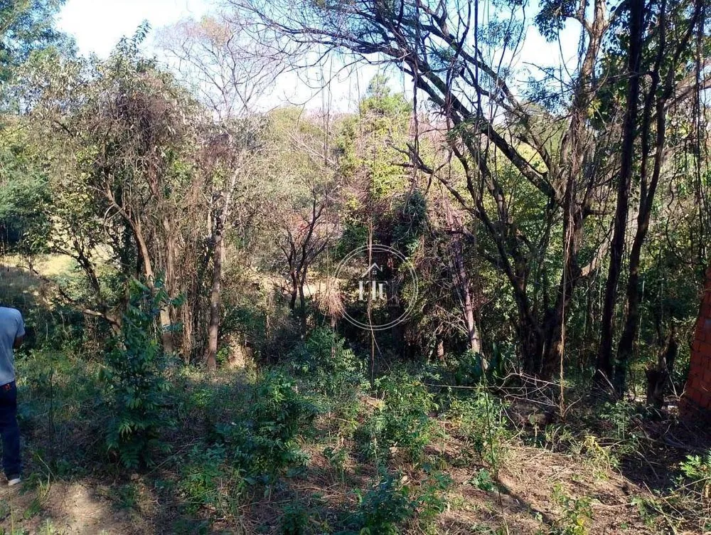 Terreno, 3000 m² - Foto 4