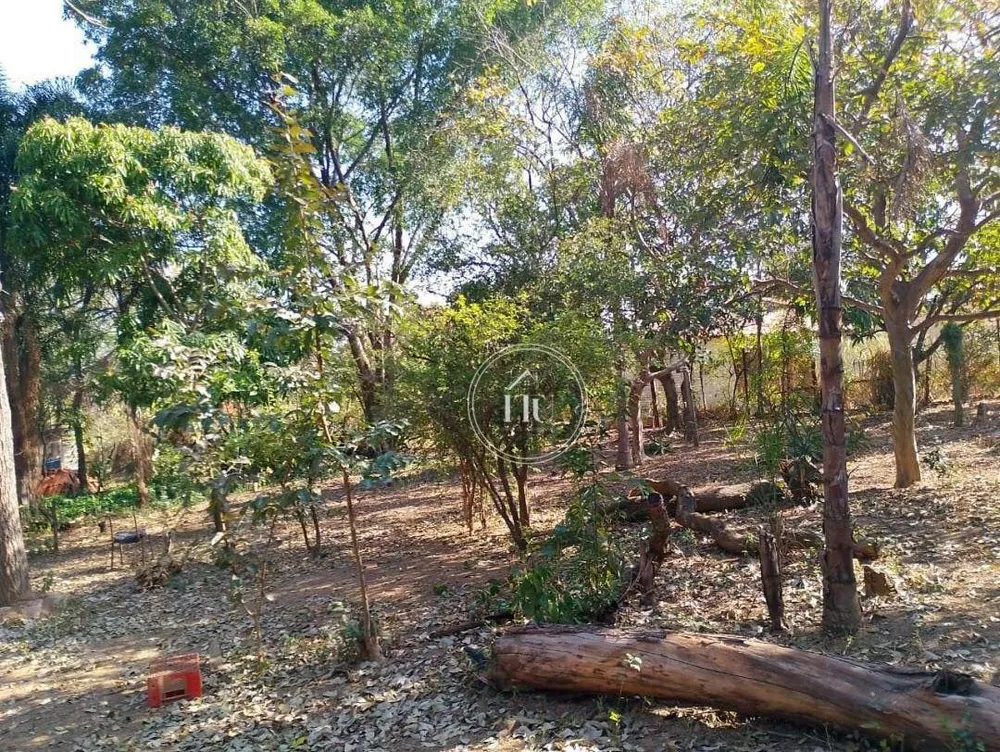 Terreno, 3000 m² - Foto 8