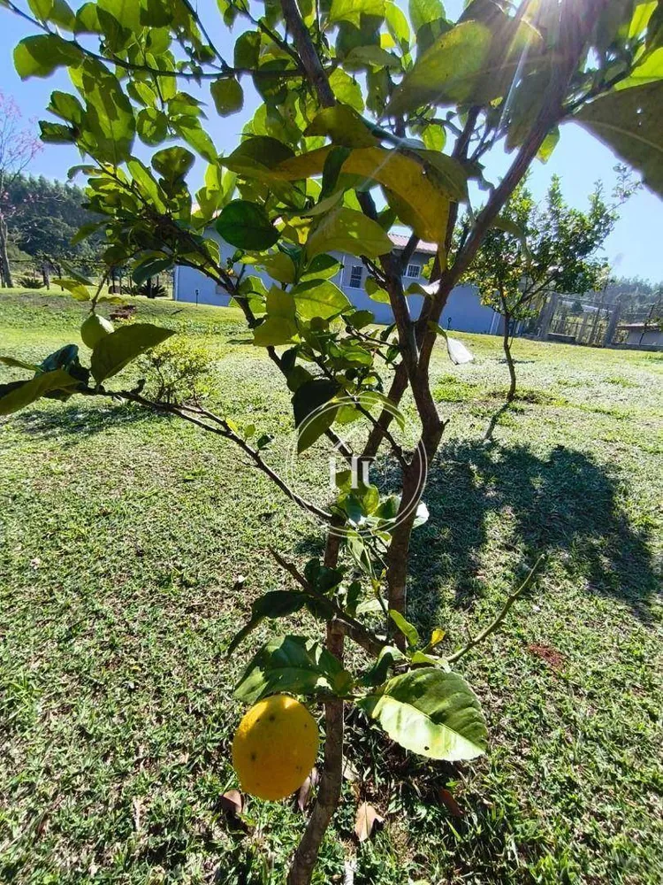 Chácara, 3 quartos, 6700 m² - Foto 13