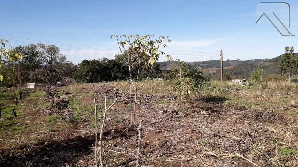 Terreno, 320 m² - Foto 3