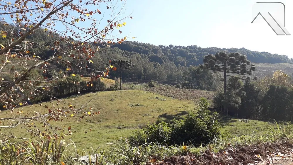 Sítio, 2 hectares - Foto 1