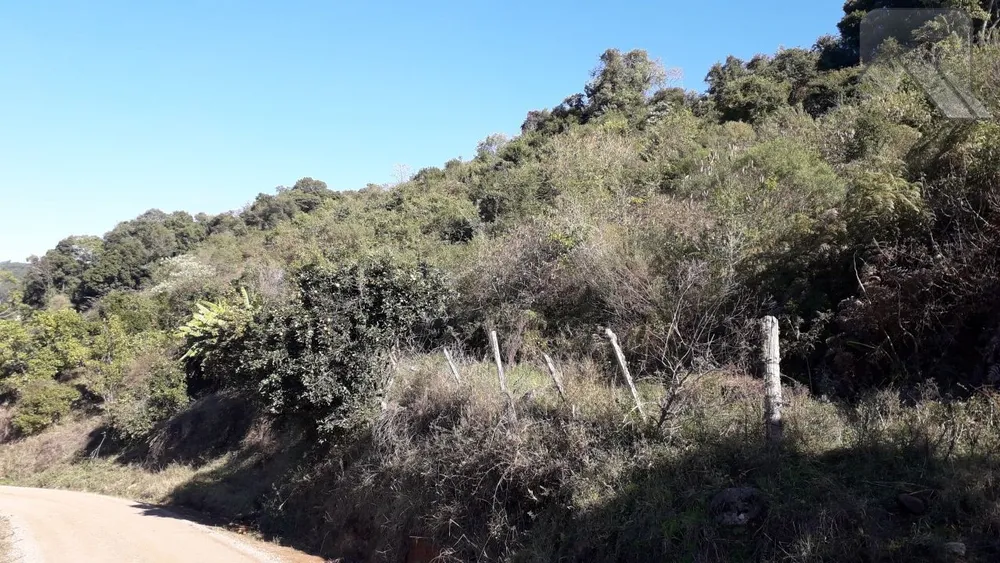 Fazenda, 2 hectares - Foto 2
