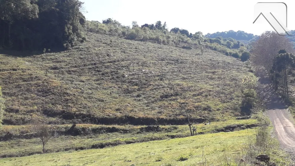 Fazenda, 2 hectares - Foto 1