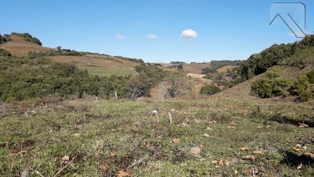Fazenda, 2 hectares - Foto 2