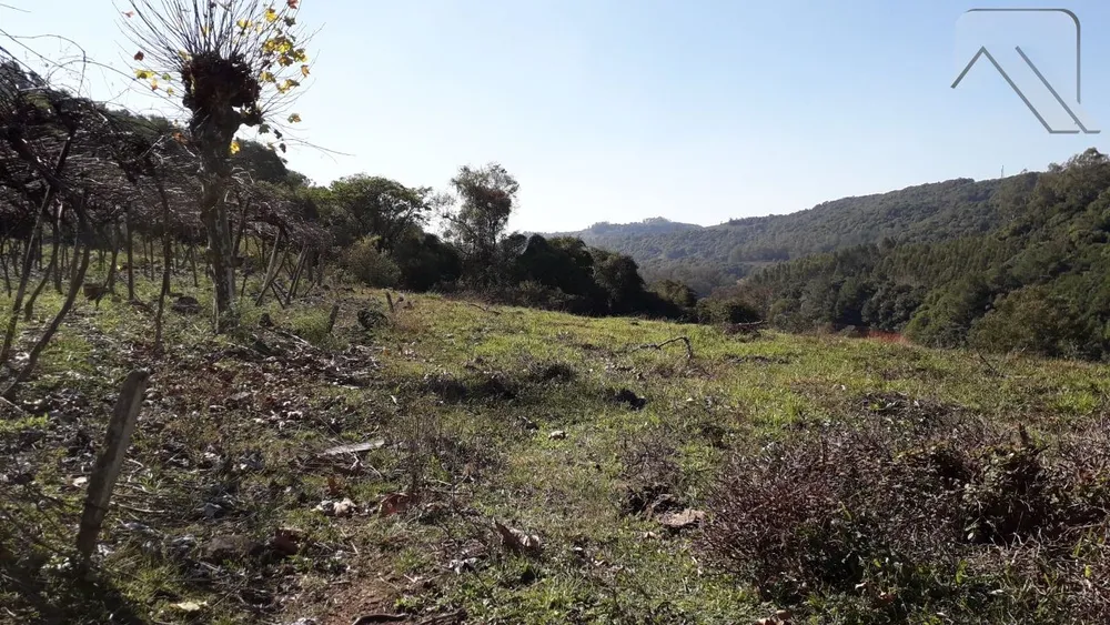 Fazenda, 2 hectares - Foto 3