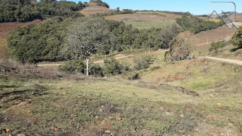 Fazenda, 2 hectares - Foto 1