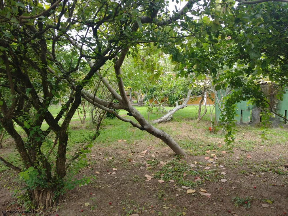 Casa, 3 quartos, 1200 m² - Foto 12