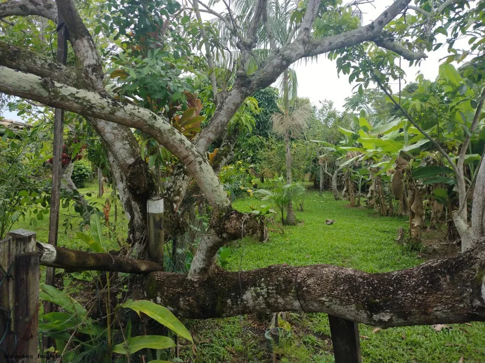 Casa, 3 quartos, 1200 m² - Foto 3